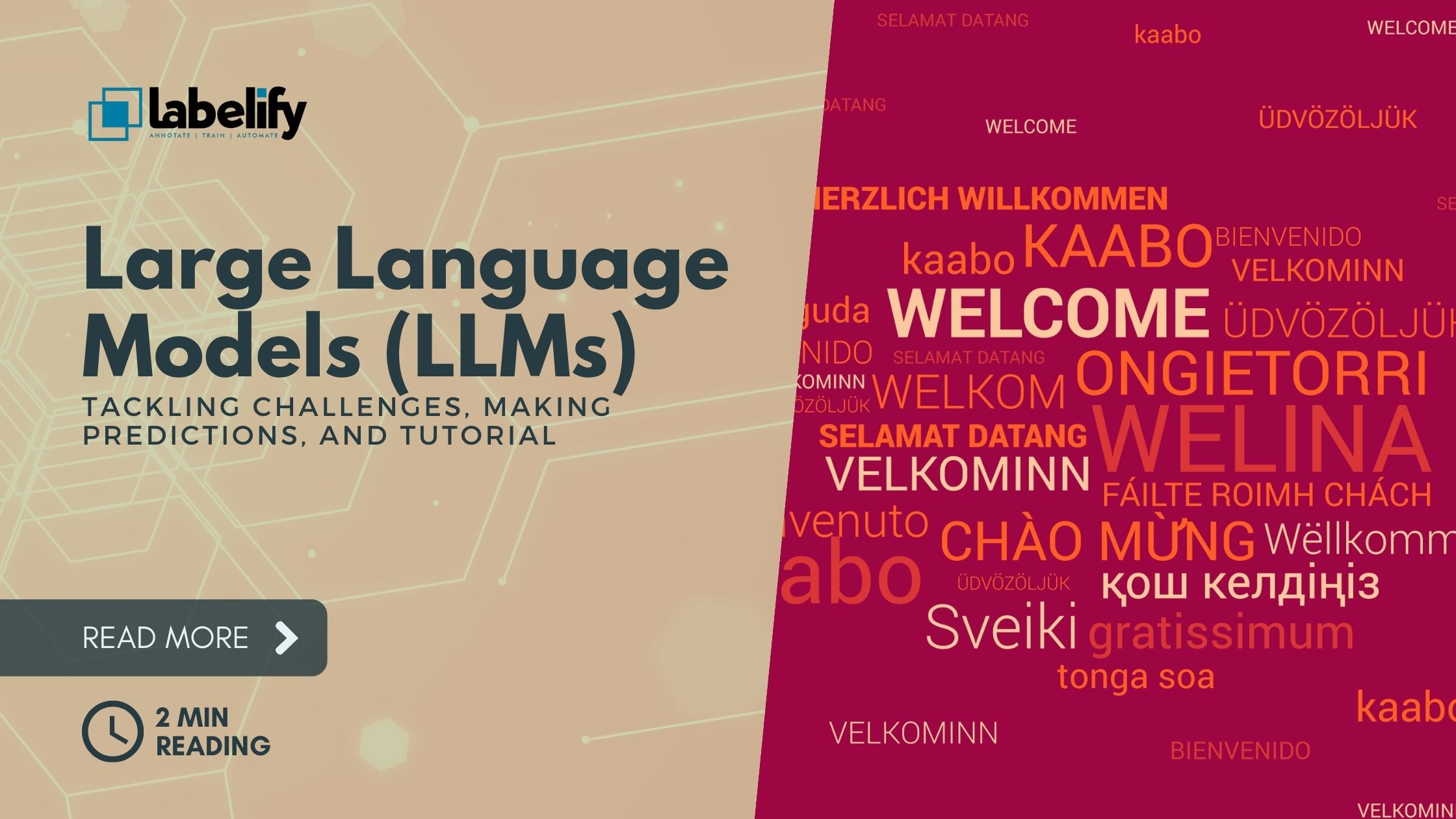 Large Language Models (LLMs): Tackling Challenges, Making Predictions, and Tutorial 1 Large Language Models
